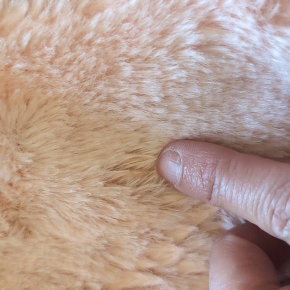 Vest - Picture 2 of 2